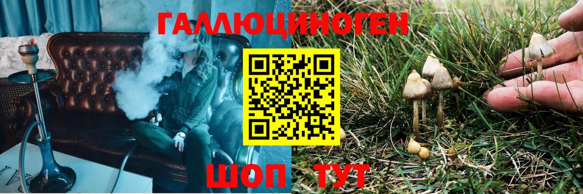 Дубна  Галлюциногенные грибы прущие грибы  Вход с VPN  Псилоцибиновые грибы мицелий 